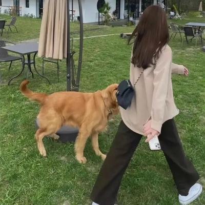 蜜糖宝贝